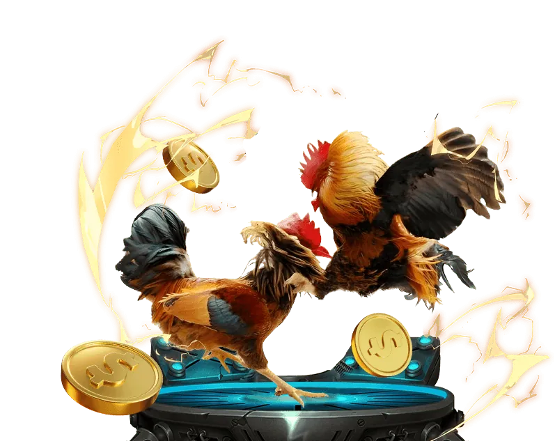 Cá cược thể thao 8day8